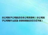 分公司和子公司的责任总公司承担吗（分公司和子公司有什么区别 承担债务的责任方式不同）