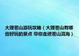 大理苍山游玩攻略（大理苍山有哪些好玩的景点 带你走进苍山洱海）