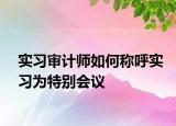 实习审计师如何称呼实习为特别会议
