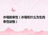 水母的食性（水母吃什么为生肉食性动物）