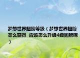 梦想世界翅膀等级（梦想世界翅膀怎么获得  应该怎么升级4级翅膀呢）