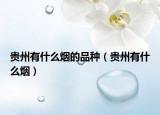 贵州有什么烟的品种（贵州有什么烟）