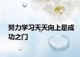 努力学习天天向上是成功之门