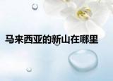 马来西亚的新山在哪里