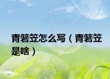 青箬笠怎么写（青箬笠是啥）