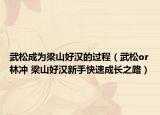 武松成为梁山好汉的过程（武松or林冲 梁山好汉新手快速成长之路）