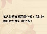 布达拉宫在哪里哪个省（布达拉宫在什么地方 哪个省）