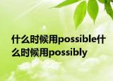 什么时候用possible什么时候用possibly