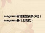 magnum雪糕加盟费多少钱（magnum是什么雪糕）