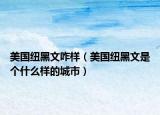美国纽黑文咋样（美国纽黑文是个什么样的城市）