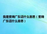 我是索嗨广东话什么意思（索嗨广东话什么意思）
