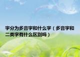 字分为多音字和什么字（多音字和二类字有什么区别吗）