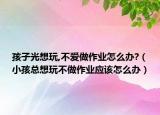 孩子光想玩,不爱做作业怎么办?（小孩总想玩不做作业应该怎么办）