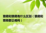 狼藉和狼藉有什么区别（狼藉和狼籍都正确吗）