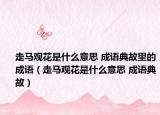 走马观花是什么意思 成语典故里的成语（走马观花是什么意思 成语典故）