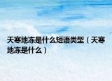天寒地冻是什么短语类型（天寒地冻是什么）