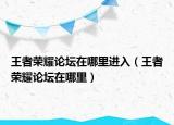 王者荣耀论坛在哪里进入（王者荣耀论坛在哪里）
