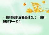 一曲肝肠断后面是什么（一曲肝肠断下一句）