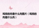 鸡排的肉是什么肉图片（鸡排的肉是什么肉）