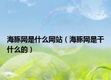 海豚网是什么网站（海豚网是干什么的）