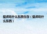壁虎吃什么东西生存（壁虎吃什么东西）