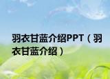 羽衣甘蓝介绍PPT（羽衣甘蓝介绍）