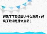 起风了了歌词表达什么意思（起风了歌词是什么意思）