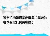 鉴定机构如何鉴定翡翠（靠谱的翡翠鉴定机构有哪些）
