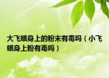 大飞蛾身上的粉末有毒吗（小飞蛾身上粉有毒吗）