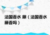 法国香水 藤（法国香水藤香吗）