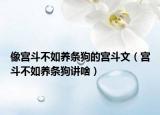 像宫斗不如养条狗的宫斗文（宫斗不如养条狗讲啥）