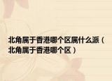 北角属于香港哪个区属什么派（北角属于香港哪个区）