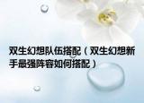 双生幻想队伍搭配（双生幻想新手最强阵容如何搭配）