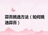 蒜苔挑选方法（如何挑选蒜苔）