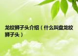 龙纹狮子头介绍（什么叫盘龙纹狮子头）