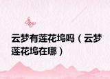 云梦有莲花坞吗（云梦莲花坞在哪）