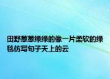 田野葱葱绿绿的像一片柔软的绿毯仿写句子天上的云