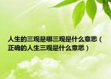 人生的三观是哪三观是什么意思（正确的人生三观是什么意思）