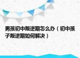 男孩初中叛逆期怎么办（初中孩子叛逆期如何解决）