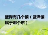 盛泽有几个镇（盛泽镇属于哪个市）