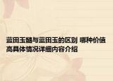 蓝田玉髓与蓝田玉的区别 哪种价值高具体情况详细内容介绍