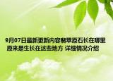 9月07日最新更新内容翡翠原石长在哪里 原来是生长在这些地方 详细情况介绍