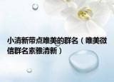 小清新带点唯美的群名（唯美微信群名素雅清新）