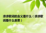 凉凉歌词的含义是什么（凉凉歌词是什么意思）