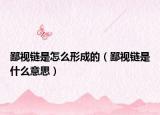 鄙视链是怎么形成的（鄙视链是什么意思）