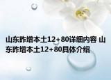 山东昨增本土12+80详细内容 山东昨增本土12+80具体介绍