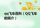qq飞车百科（QQ飞车的简介）