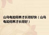 山乌龟如何养才长得好快（山乌龟如何养才长得好）
