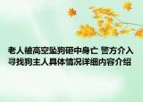 老人被高空坠狗砸中身亡 警方介入寻找狗主人具体情况详细内容介绍