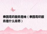 泰国毒奶服务是啥（泰国毒奶服务是什么意思）